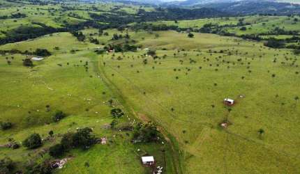 Fazenda - 445 alqueires goiano - 30 km de Itapaci - 15 km do asfalto - 05 casas boas - 01 casa média - 03 curral ferro galvanizado - 01 curral aroeira