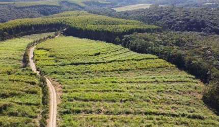 Sitio  19 Alqueires   - Aproveitamento de 13 Alqueires   - Boa Topografia  - Ribeirão com ótimo fluxo de Água   - 9 km do Asfalto, Ótima Estrada   - C
