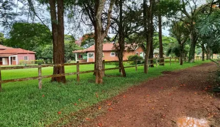 Sitio 25 Alqueires - 20 Alqueires em Pasto - Terra Vermelha   - Topografia Plana e Semi Plana  - Ótimo imóvel para Haras, lazer, ou Plantio de Grama