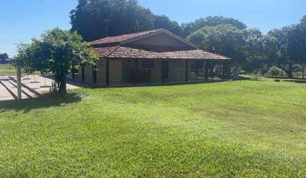 Fazenda 17125 Hectares 11.500 Hectares de área aberta  - 2.800 Hectares em lavoura - 8.050 Hectares em pastagem  - 210 divisões de pastos - 650 Hectar