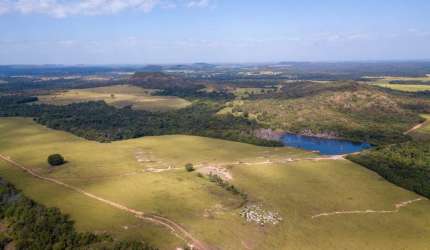 FAZENDÃO A VENDA NO ESTADO DO TOCANTINS-TO ??  *Área Total: 18.800 Mil Hectares 7.800 Alqueires Paulista  3.900 Alqueirão *Localização: Goiatins/TO