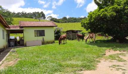 Sítio 10 Alqueires Ótima área para Gado, Eucalipto ou Pinus Casa Sede boa e galpão simples Boa de água, córrego e Nascentes  Formada em pasto