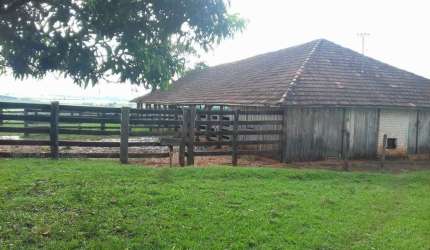 Fazenda 140,5 Alqueires, Topografia Plana, Terra Vermelha, 1Km da Rod Raposo, 50Kms de Presidente Prudente, 50 Alqueires Lavoura Grãos, Rest. Pecuária