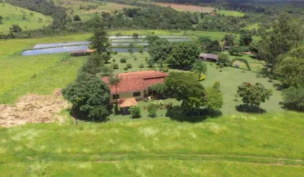 Fazenda 18 Alqueires Terra pra Lavoura, Asfalto na Porta, 35 Hectares de Soja, 17 Hectares Reserva, Varios Tanques com Peixes Diversivicados