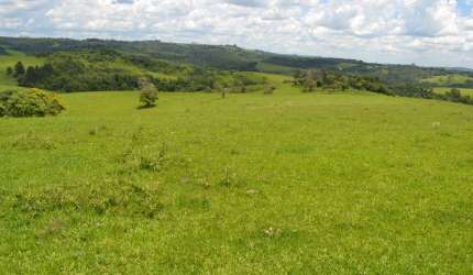 Fazenda 162 Alqueires, Formada em Pasto Para Pecuária ou Eucalipto, Casa Sede Simples, Casas Empregados, Curral, Açudes, Topografia Ondulada