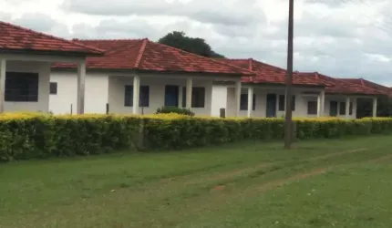 Fazenda 1275 Alqueires, 862 Alqueires em Cana, Topografia Plana, Terra Vermelha, Rica em Água com 2 Rios, Casa Sede e Caseiro, Barracão, Facil Acesso