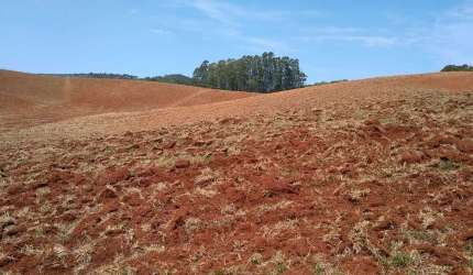 Sítio 32 Alqueires, 26,6 Alqueires Limpos, 18 Alqueires Arrendado em Tomate e Cereais, Terra Vermelha, Rico em Água com 4 Açudes e 6 Nascentes, 2 Casa