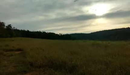 Sítio 11,75 Alqueires, 6 Alqueires Limpos e 5,75 Alqueires em Mata Nativa, Casa e Barracão, Terra Boa Para Cultivo ou Pasto, 2 Rios