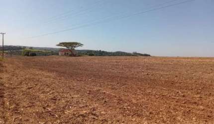 FAZENDA A VENDA EM SÃO MIGUEL ARCANJO-SP ??  - Área Total 47 Alqueires - Atualmente 8 Alqueires em Lavoura - Aproximadamente 27 Alqueires em Pasto -