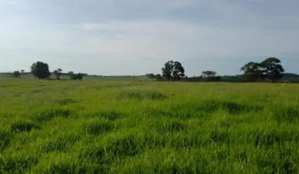 Sítio 16,5 Alqueires, Rico em Água com Corrego, 13 Alqueires em Área Para Plantio, Boa Topografia, Solo Misto, Casa Simples,Balança,Cocheiro,Mangueira