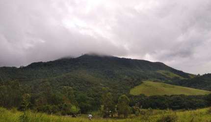 Fazenda 70 Alqueires, 23 Alqueires em Pasto, 10 Alqueires em Pinus com 10 Anos, 2 Alqueires em Pinus com 2 Anos, Casa Sede, Boa de Água