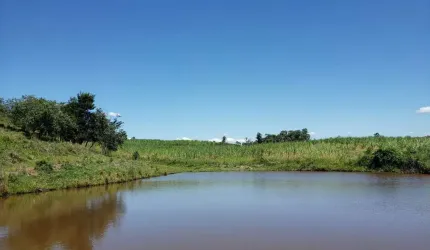 Sítio 23 Alqueires, Rico em Água com Lago com Peixes, Fácil Acesso, Ótima Localização, 80% Aproveitavel, Topografia Boa, Terra Mista