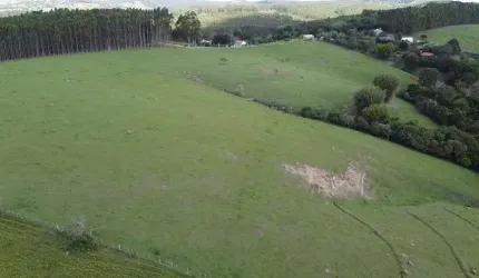 Fazenda 160 Alqueires, Rica em Água com Açudes e Ribeirão, Formada em Pasto, Topografia Caída, Casas Sede e Funcionários, Curral, Fácil Acesso