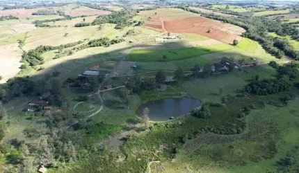 Fazenda 124 Alqueires  - Em Plantio 60 Alqueires  - Planta até 80 Alqueires * Fazenda com seguimento no Plantio de Grãos, e Criação de Ovelha e Gado -