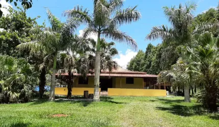 Sítio 6,5 Alqueires, Rica em Água com 3 Lagos, 2 Casas Boas, Casa de Caseiro, Área de Lazer com Churrasqueira, Galpão, Pomar e Horta, Pasto Amplo