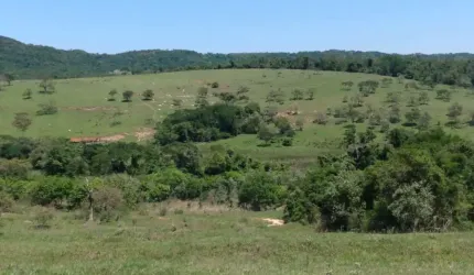 Chácara 60.000m2, Rica em Água com Nascentes na Propriedade, Sem Benfeitorias, Ótima Localização