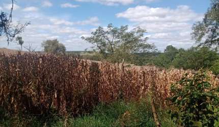 Oportunidade única: Sitio à venda em Angatuba-SP, Zona Rural, 1 quarto, 1 banheiro, 205.700,00 m² de área.