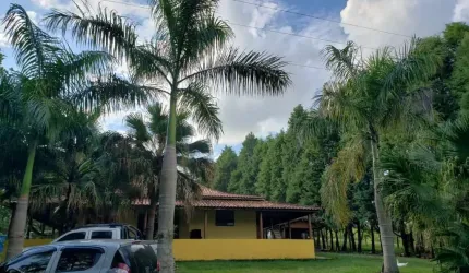 Sítio 6,5 Alqueires Terra Mista,Boa p/Criação de Gado, Casa Sede 150m2 Avarandada 3 Dorms,Sala,Cozinha,2 Banheiros,Casa de Caseiro,