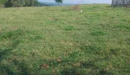 Sitio 12 Alqueires FORMADA NO PASTO  BOA TOPOGRAFIA TERRA DE CULTURA RIBEIRÃO AO FUNDO  NÃO TEM BENFEITORIAS, APENAS TERRA  7 KM DA RAPOSO TAVARES 22