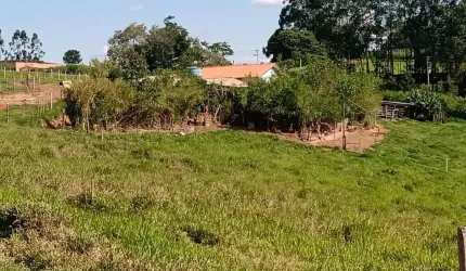 Sítio 5,3 Alqueires Casa Sede,Bom de Agua,Ótimo Pasto Pecuária Corte e Leite,Resfriador de Leite,Vocação para Granja,Criação de Frangos