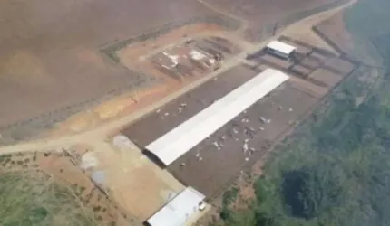 EXCELENTE FAZENDA COM SISTEMA DE CONFINAMENTO A VENDA NA REGIÃO DE SÃO JOSÉ DOS CAMPOS - SP ??   Área Total de 256 Hectares ou 105 Alqueires Paulist