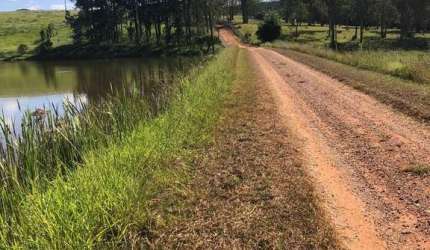 porteira fechada (área 53.00 alqueires) no município de São João da Boa VISTA SP. ? 120.000 pés de café 100% mecanizavel ( tratos culturais e colheit