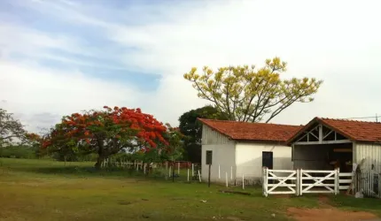 EXCELENTE FAZENDA A VENDA NA PECUÁRIA NA REGIÃO DE PRESIDENTE PRUDENTE - SP ??   Área Total: 390 Alqueires   Aptidão: Pecuária   Em Pastagem: 275 Alqueires  Restante: App, Reserva e Água   Solo: Argil