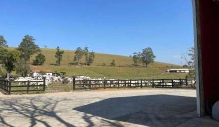 EXCELENTE FAZENDA A VENDA NO VALE DO PARAÍBA NO ESTADO DE SÃO PAULO-SP ??    Área Total: 330 Alqueires ou 800 Hectares   90% Formada e Tratoravel   Agricultura: Plantação de Milho, Capim Braquiárião, 