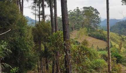 Terreno para Venda em São João Batista, São João Batista