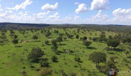 Fazenda de 204 alqueires em Caiapônia GO