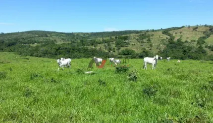 Fazenda Rural, Nova Aurora - GO