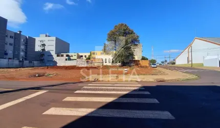Ótimo oportunidade de Terrenos no Bairro Alto Alegre em Cascavel.