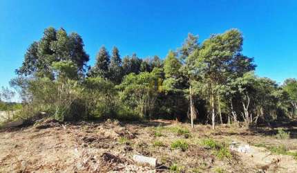 Terreno à venda, 3611 m² por R$ 500.000,00 - Parque do Embu - Colombo/PR