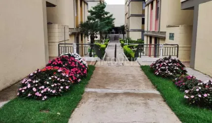 Apartamento á venda no Condomínio Ilha Verde no bairro Vila João Jorge - Campinas/SP