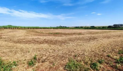 Área à venda, Área Rural de Rio das Pedras - Rio das Pedras/SP