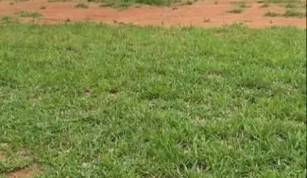 Terreno em Condomínio à venda, Taquaral - Piracicaba/SP