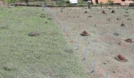 Terreno à venda, 2000 m² por R$ 140.000,00 - Zona Rural - Paraibuna/SP