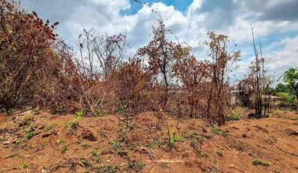 Lote à venda, Jardim Candidés - Divinópolis/MG