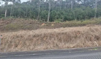 Terreno para Venda em Guabiruba, Aymore