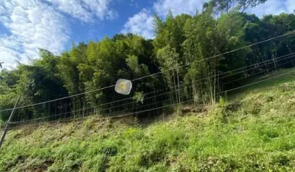 Terreno para Venda em Brusque, SÃO PEDRO