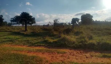 Chácara de 18 hectares. 38 km de Campo Grande.