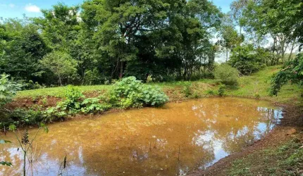 Chácara de 28 hectares. Rica em água.
