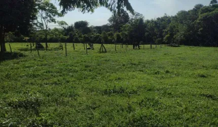 Chacara com córrego e nascente. 13 km de Campo Grande.