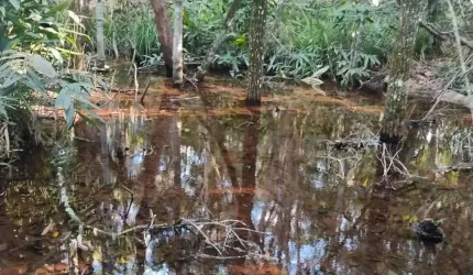 Chacara de 27.8 Hectares.  35 km de CG.