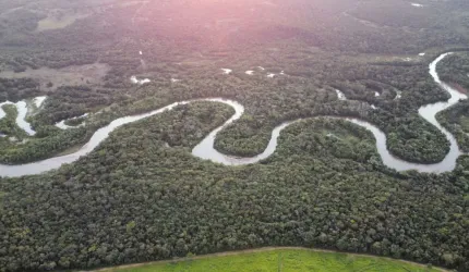 Linda Fazenda Banhada po 8 km de Rio Coxim