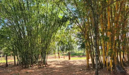 Chacara de 8.5 hectares.  Porteira fechada.