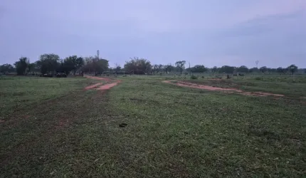 Oportunidade.  9.4 hectares.  1 km da BR.