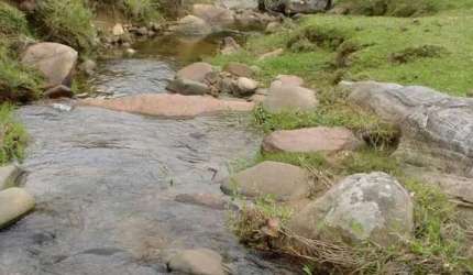 Sitio com 180000,00 m² no Braço em Camboriú