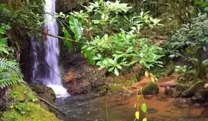 Sítio com cachoeiras em Tijucas/SC