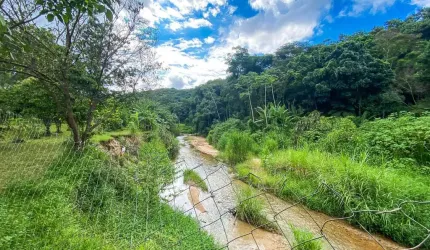Linda Chácara de 6.000m² com Sobrado, Piscina e Lagoa para Criação de Peixes em Canelinha